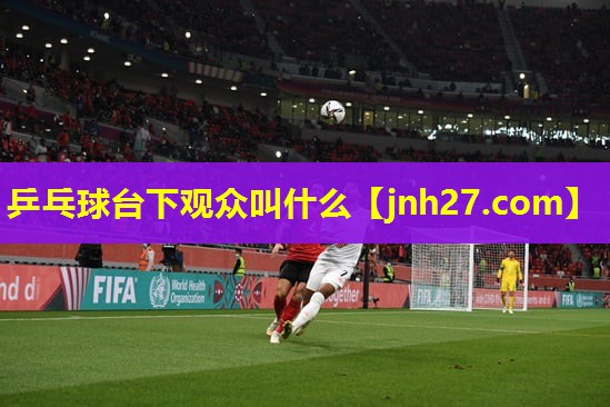 乒乓球台下观众叫什么